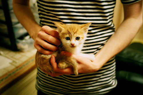 爱游戏登录入口-_飞盘运动嘉年华：趣味合作的极致体验_，飞盘运动比赛