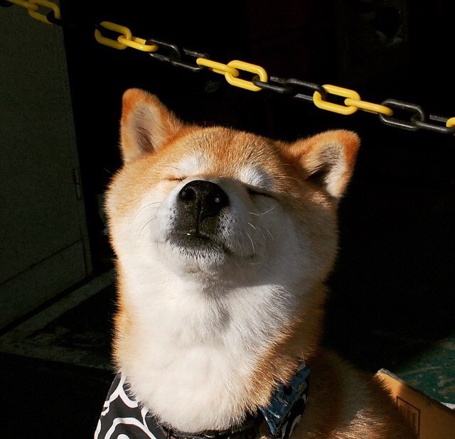 _马刺老兵贡献满满，迎来一场酣畅战斗_，马刺战术视频