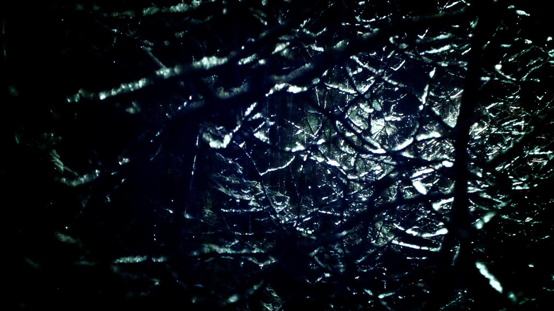 _鹈鹕务实应战，逐渐夺得胜机_，鹈鹕秒懂