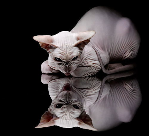 爱游戏app-德甲硬仗，教练分享战术变化心得，德甲对抗