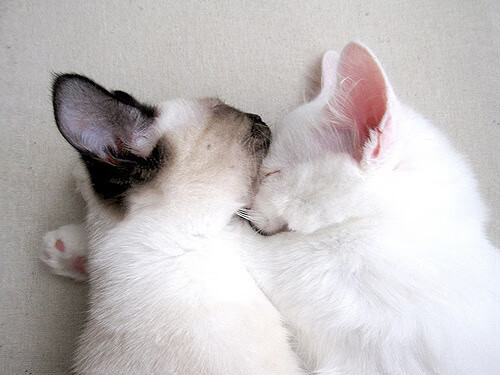 爱游戏官网-意甲：尤文在第90分钟绝平拉齐奥，争冠形势逐渐明朗，尤文拉齐奥比赛直播