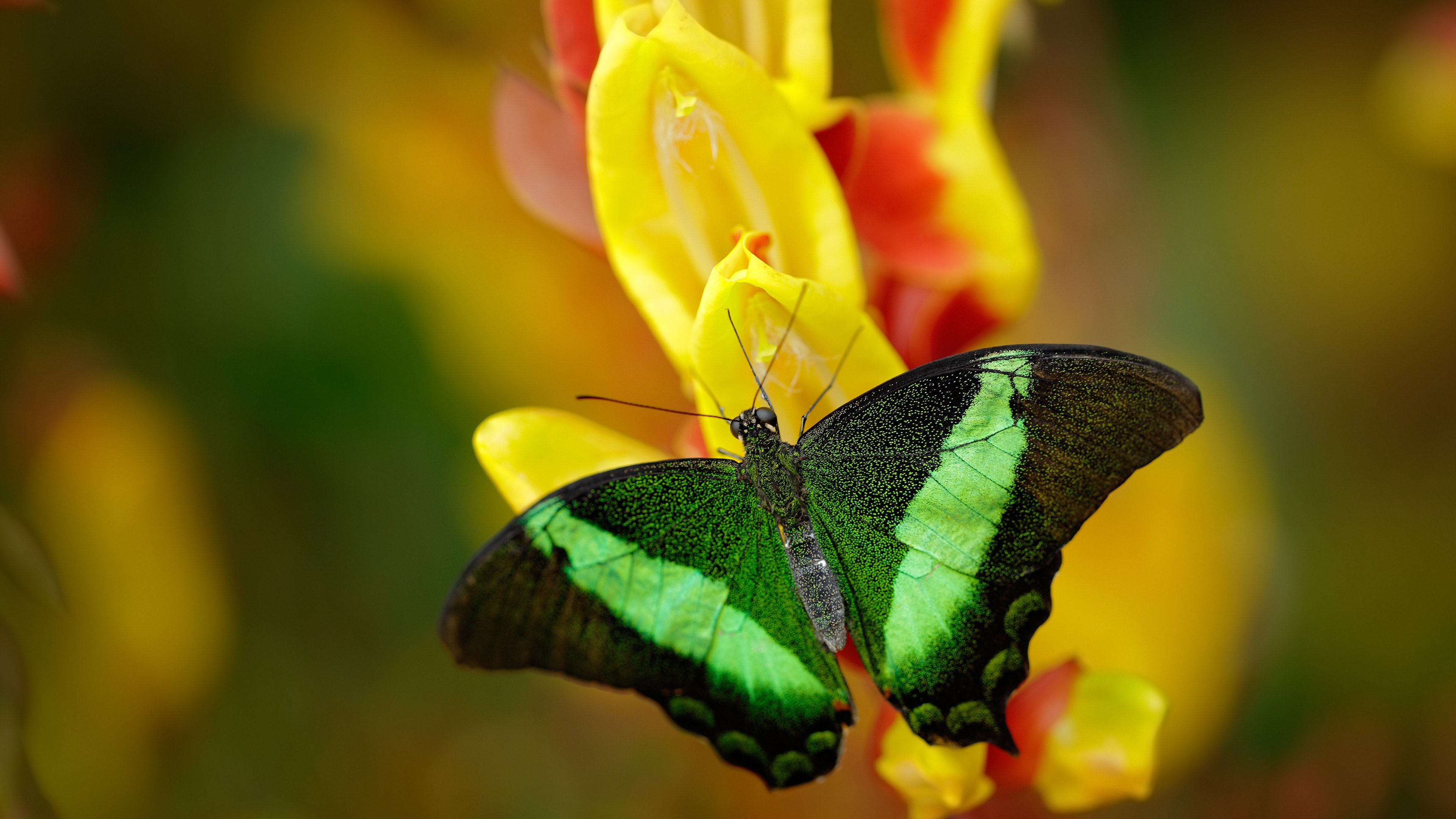 AYX GAME-持续推进足球场馆智能化与信息化建设，持续推进足球场馆智能化与信息化建设的意义